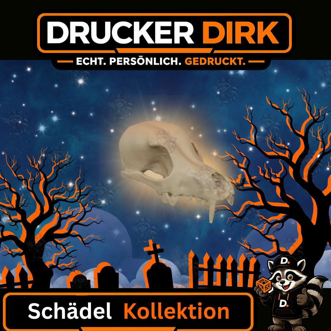 Detaillierte Schädelmodelle