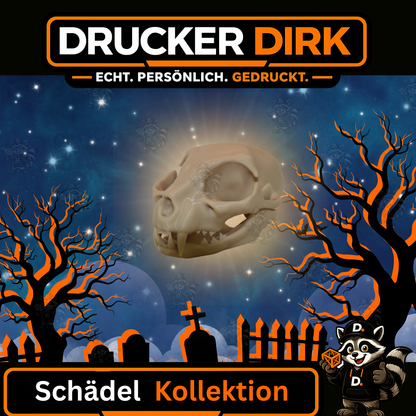 Detaillierte Schädelmodelle
